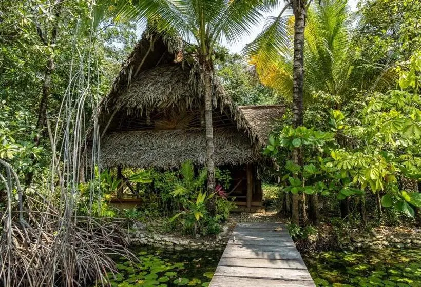 بانگلوی استاندارد, El Hotelito Perdido