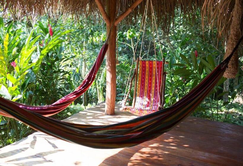 اتاق استاندارد با چشمانداز باغ, El Hotelito Perdido