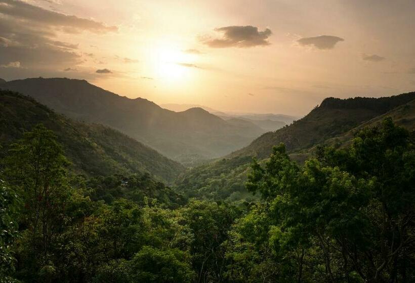 اتاق لوکس با بالکن, Roseland Cottages