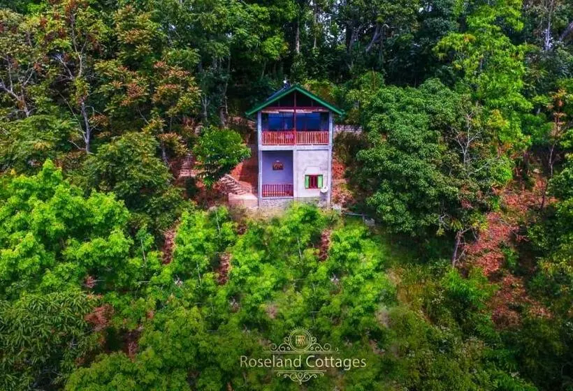 Deluxe Kolmen Hengen Huone, Roseland Cottages