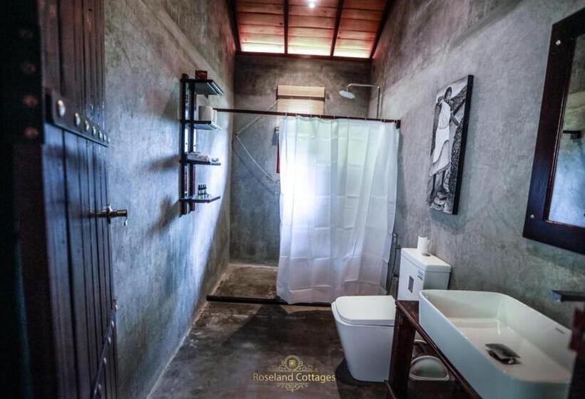 اتاق لوکس با بالکن, Roseland Cottages