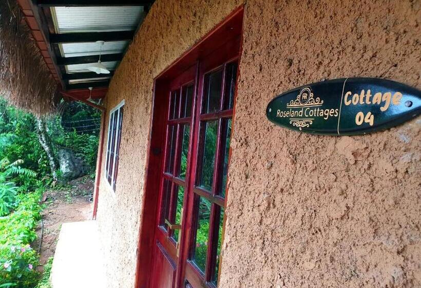 اتاق خانوادگی, Roseland Cottages