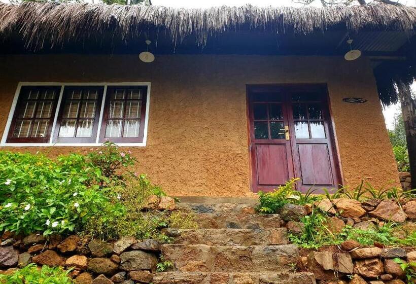 اتاق خانوادگی, Roseland Cottages