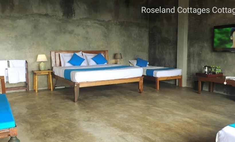 اتاق لوکس چهار تخته, Roseland Cottages