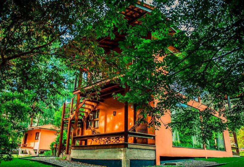 חדר סטנדרט עם מיטת קינג, Pousada Rosa Dos Ventos Capão