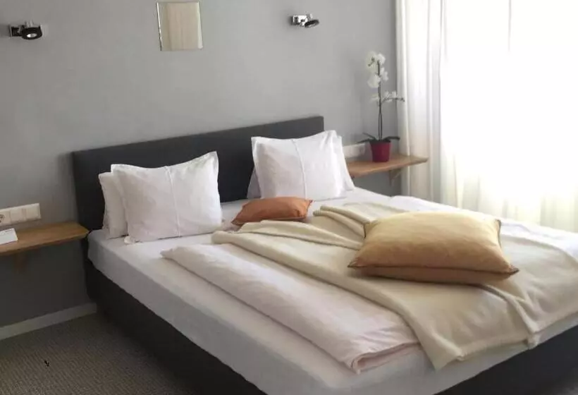 Economy-huone, Dietrichsteinerhof Apartments & Rooms