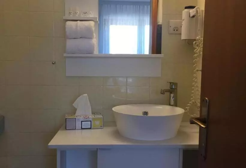 Economy-huone, Dietrichsteinerhof Apartments & Rooms