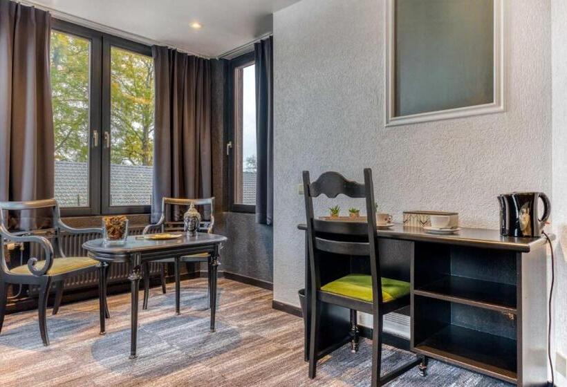 Номер Стандарт, Hôtel Mosa