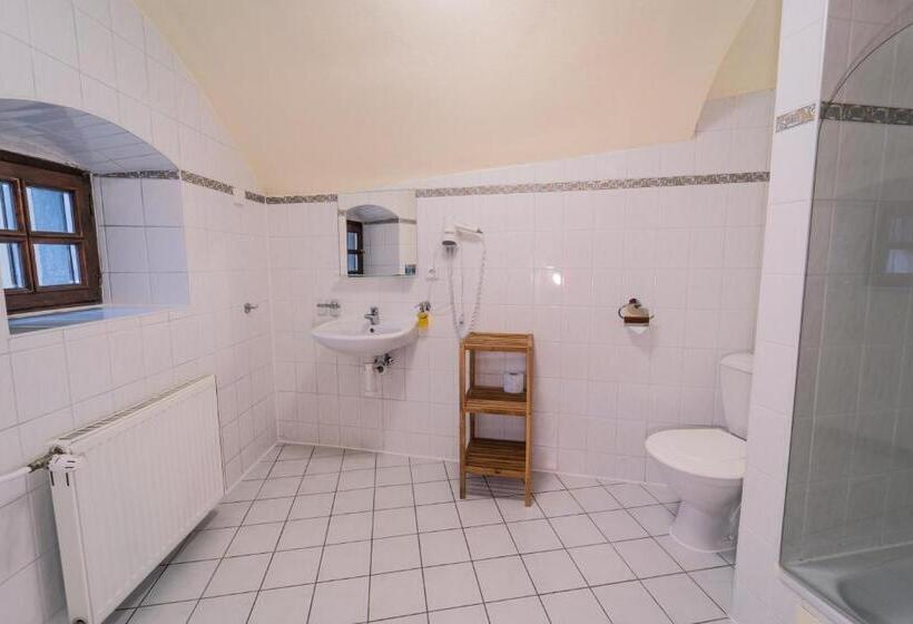 חדר סטנדרט, Koruna Prachatice