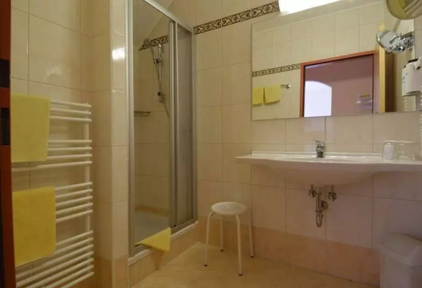 Standard Single Room, Restaurant Müllner
