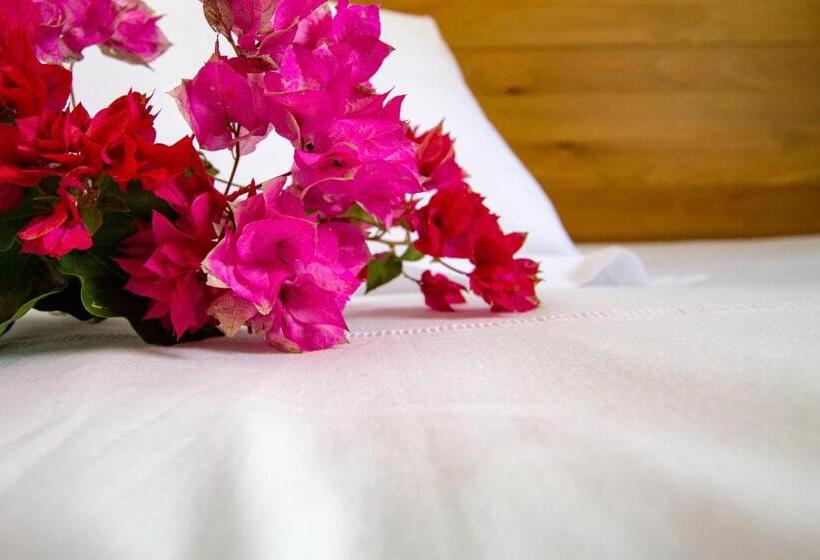 Апартаменты 2 Спальни, Bitacora