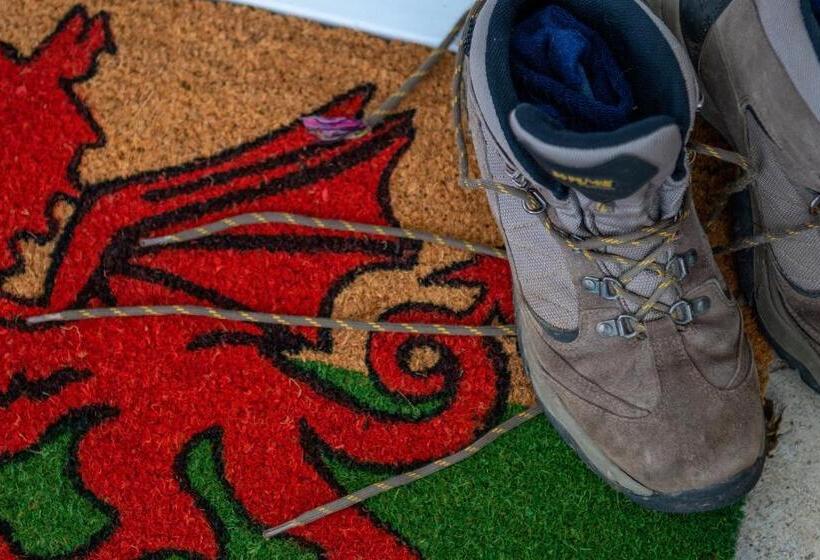 高级大房间, Estuary Lodge Motel B&b