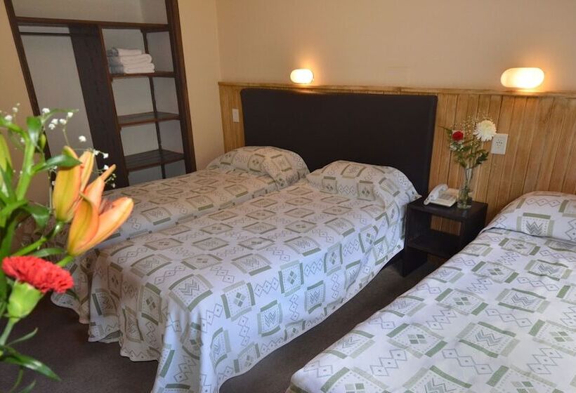 スタンダード4人部屋, 7 Lagos