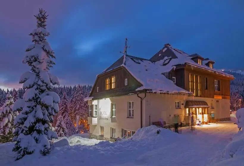 Standard-huone, Domovina