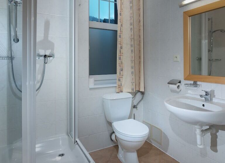 חדר סטנדרט, Domovina