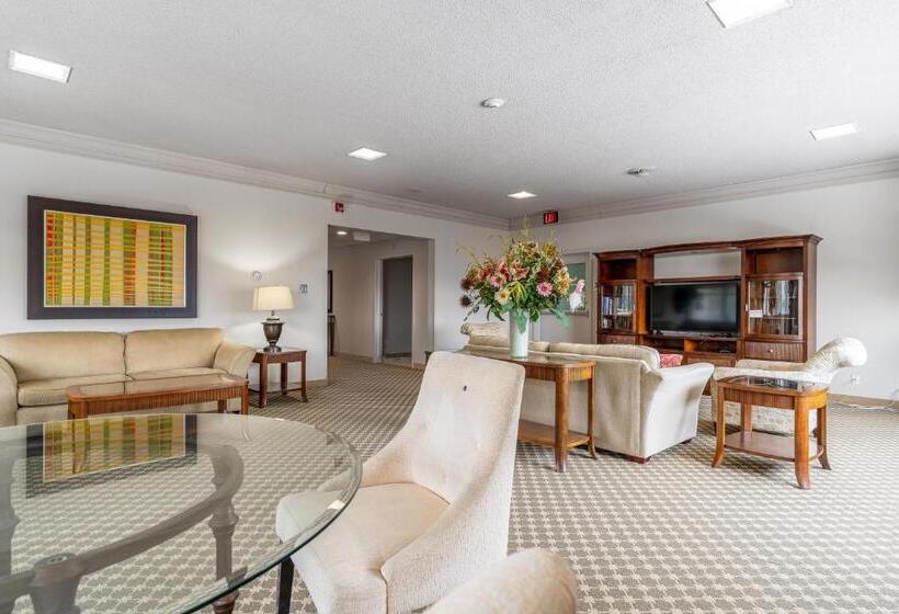 带特大床的标准间, Guest House On The Mount