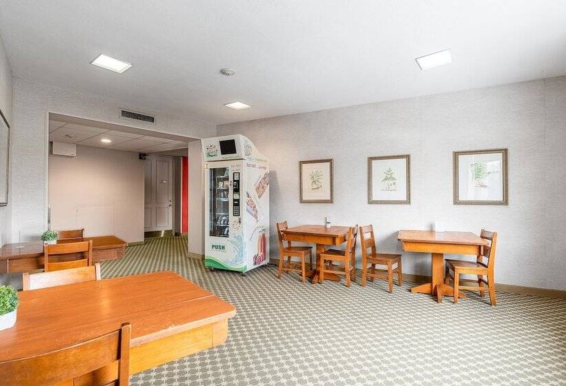 标准间, Guest House On The Mount