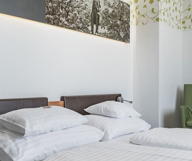 חדר סופריור, H+ Hotel Ried