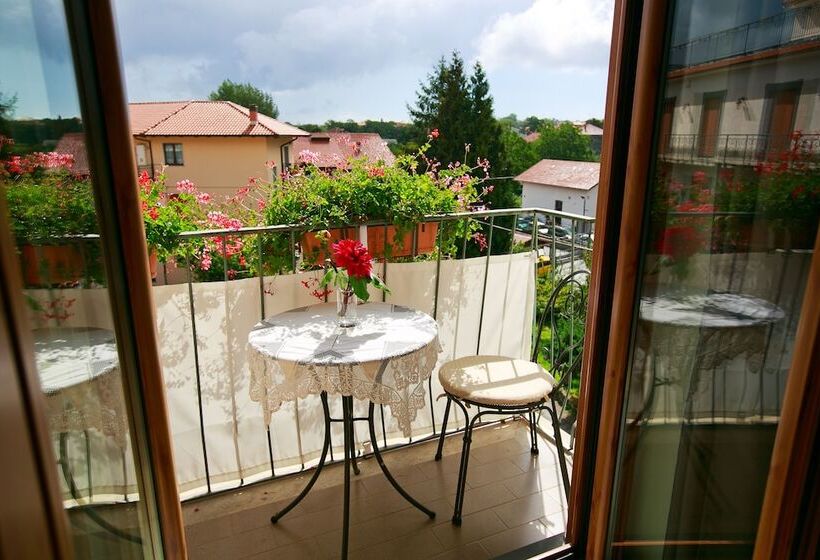 标准间, Nido Verde