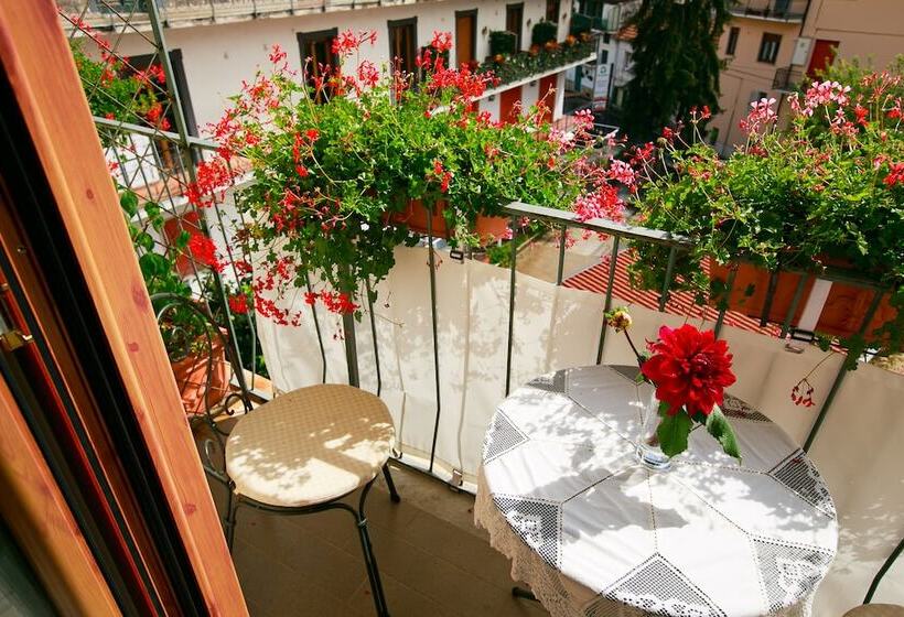 标准三人间, Nido Verde