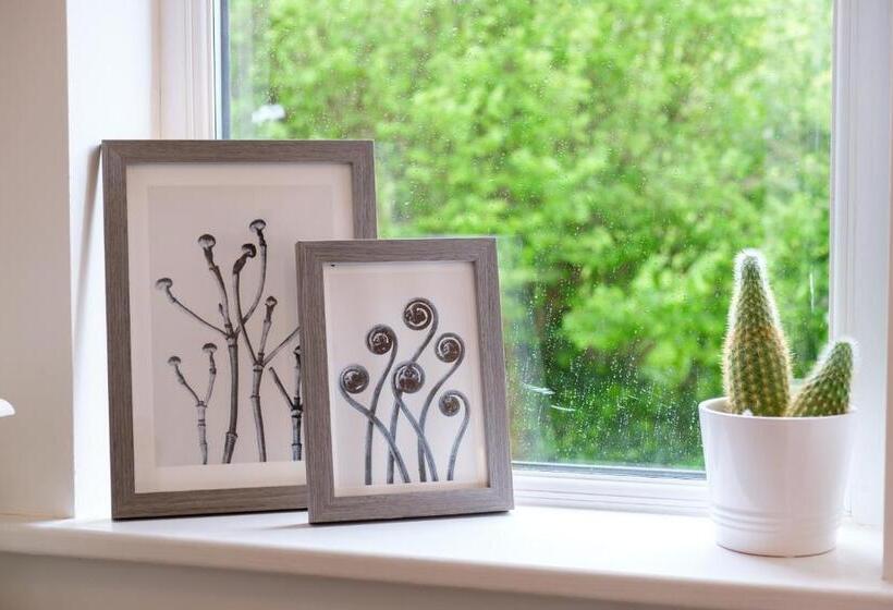 غرفة قياسية, The Water Rat Ironbridge