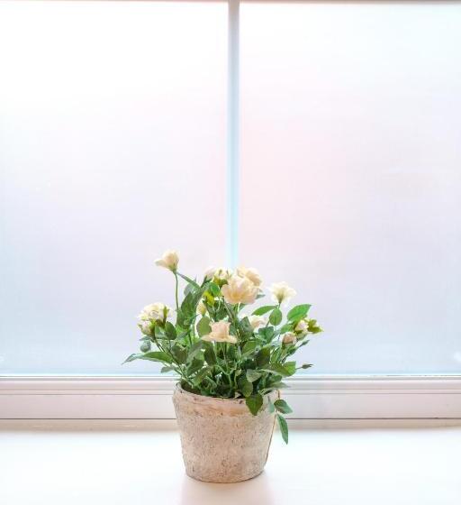 غرفة سوبيريور, The Water Rat Ironbridge