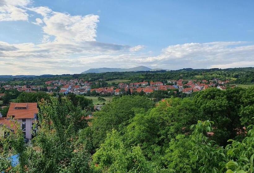اتاق استاندارد با چشم‌انداز کوهستان, Vila Lav Sokobanja