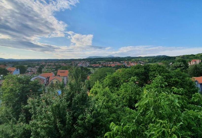 اتاق استاندارد با چشم‌انداز کوهستان, Vila Lav Sokobanja
