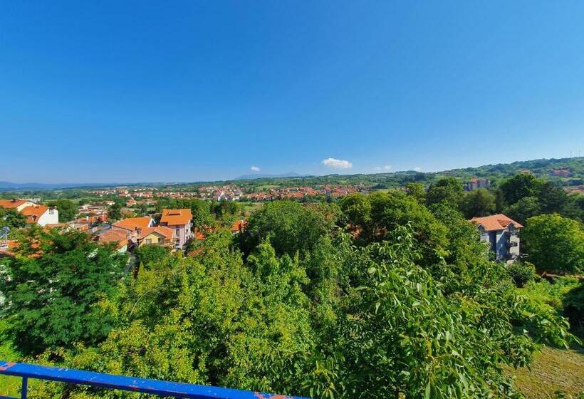 اتاق استاندارد با چشم‌انداز کوهستان, Vila Lav Sokobanja