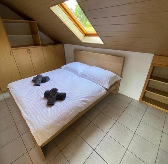 침실 1개 전망 아파트, Horský Penzion A Bistro čepice