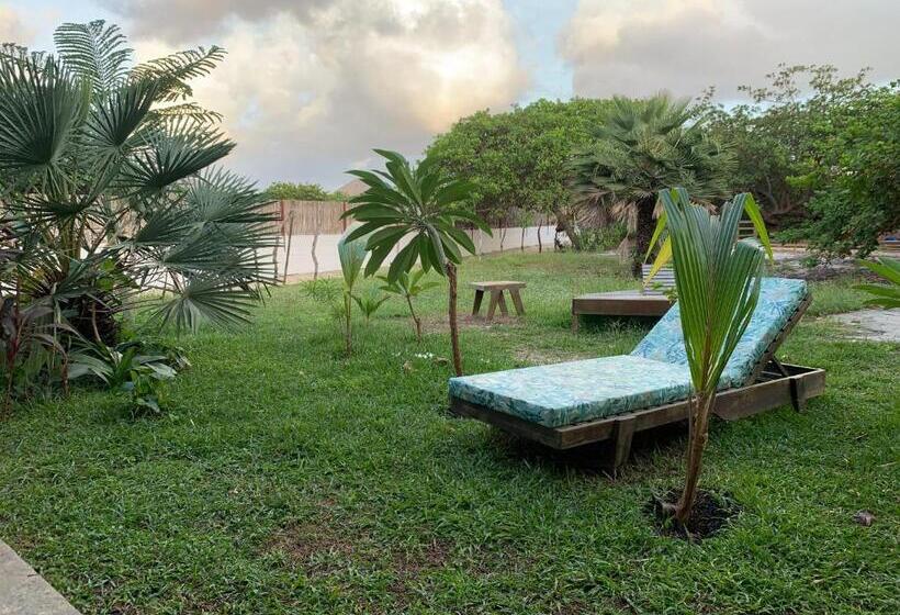 디럭스 트리플 룸, Vila Das águas