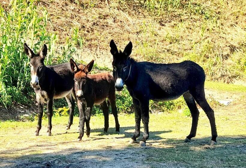 סוויטה נשיאותית, L Olivo Country Resort & Spa