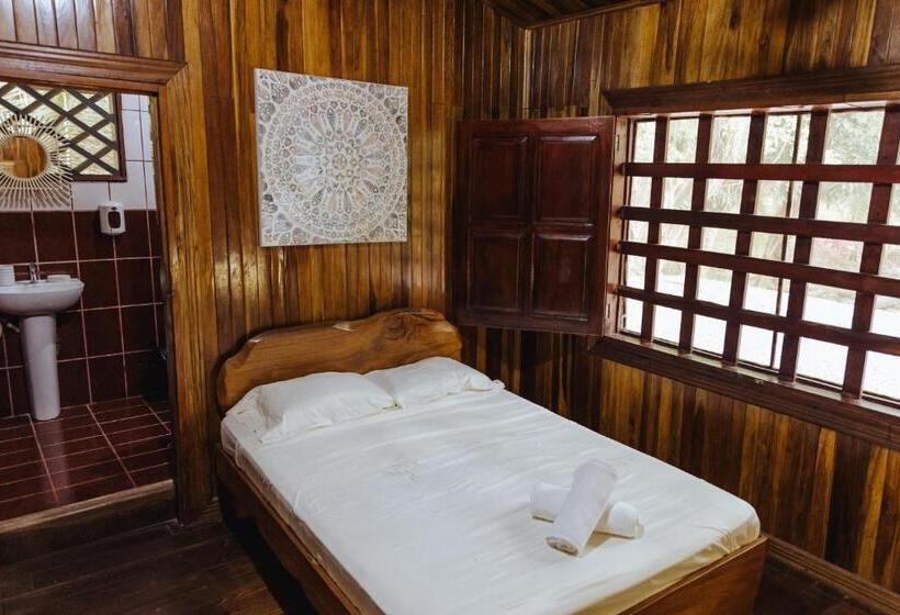 Habitación Deluxe, Sunny’s