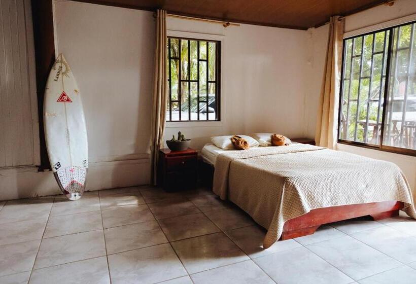 Estudio Estándar, Sunny’s