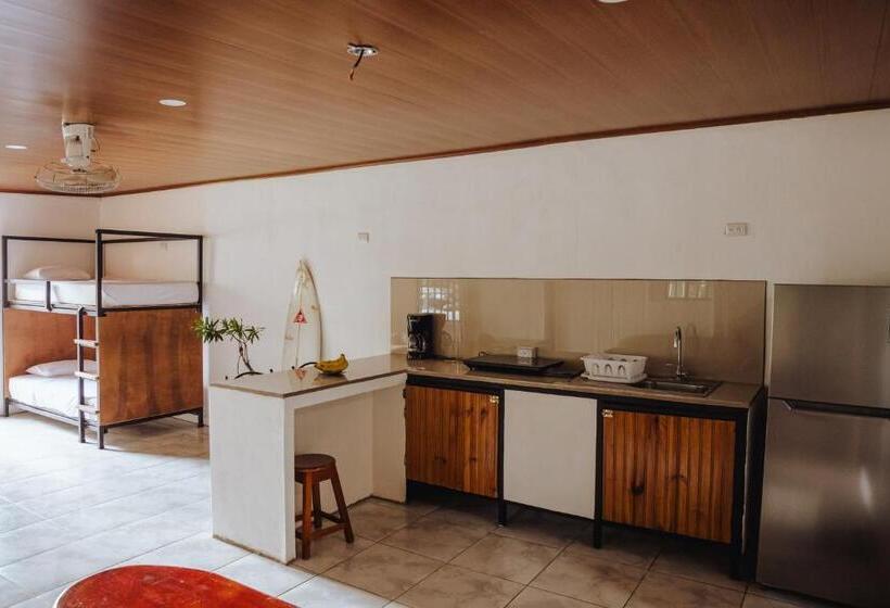 Estudio Estándar, Sunny’s