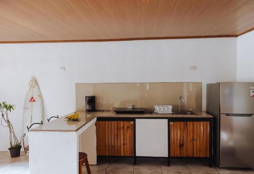 Estudio Estándar, Sunny’s