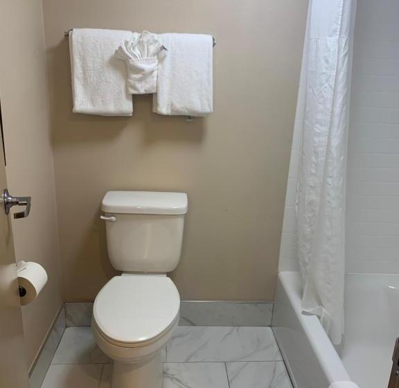 غرفه قياسيه سريرين مزدوجين, Comfort Inn Horsham   Philadelphia