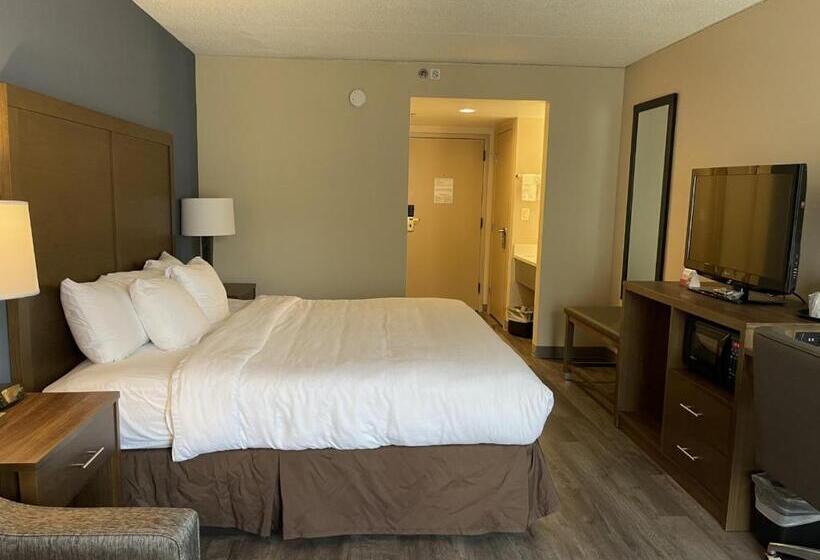 غرفة قياسية سرير كينج, Comfort Inn Horsham   Philadelphia