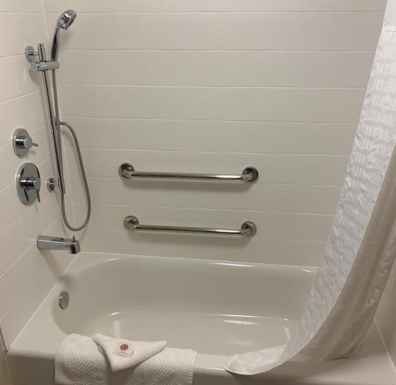 Номер Стандарт Кровать Кинг Адаптированный для Инвалидов, Comfort Inn Horsham   Philadelphia