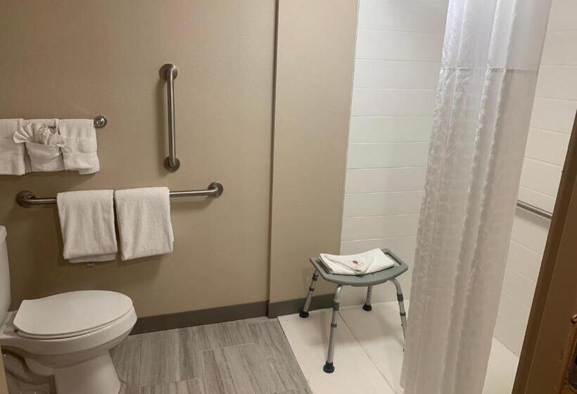 身障者適用キングサイズベッドルーム, Comfort Inn Horsham   Philadelphia