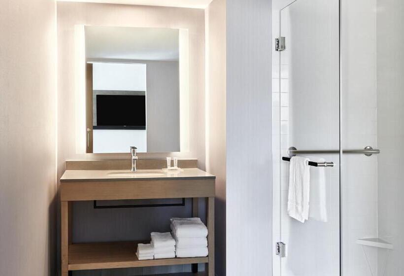 سوئیت با تخت بزرگ, Hyatt Place Phoenix/downtown