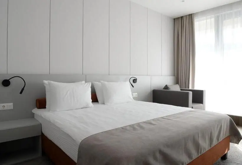 اتاق سوپریور با تخت بزرگ, Premier Hotel Miskolc