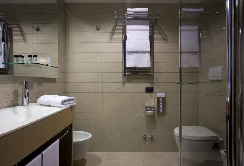 Номер Executive, Domina Milano Fiera
