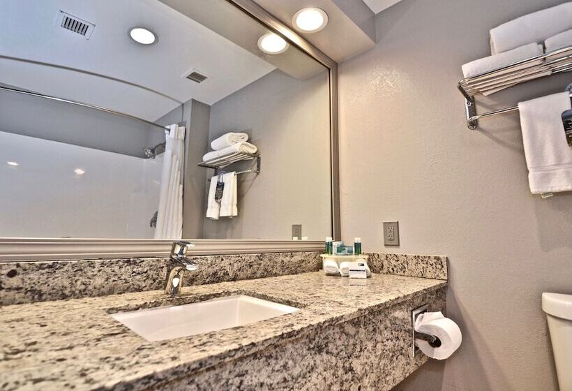 스탠다드 룸, Holiday Inn Express Cleveland Downtown, An Ihg