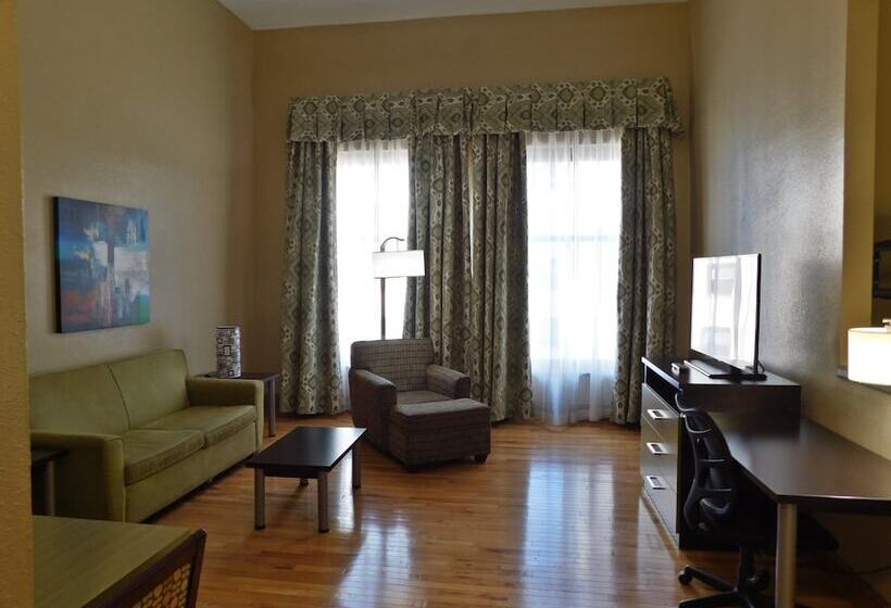 스탠다드 룸, Holiday Inn Express Cleveland Downtown, An Ihg