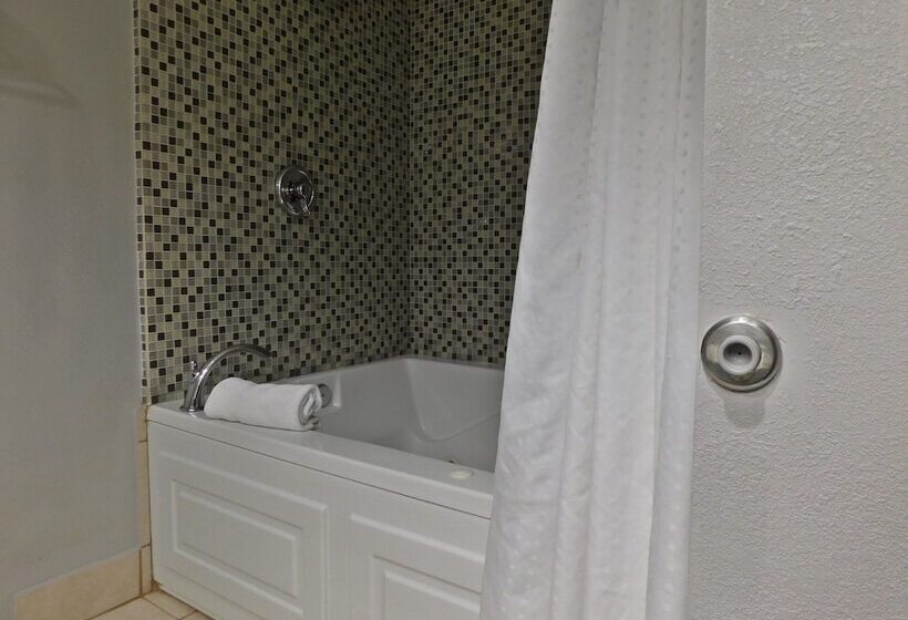 스탠다드 룸, Holiday Inn Express Cleveland Downtown, An Ihg