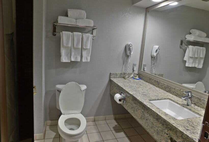 스탠다드 룸, Holiday Inn Express Cleveland Downtown, An Ihg