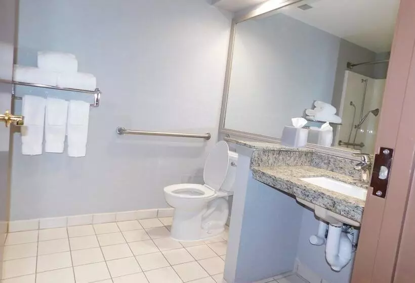 スイート, Holiday Inn Express Cleveland Downtown, An Ihg