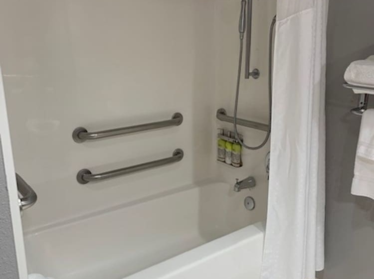 장애인을 위한 스탠다드 룸, Holiday Inn Express Cleveland Downtown, An Ihg