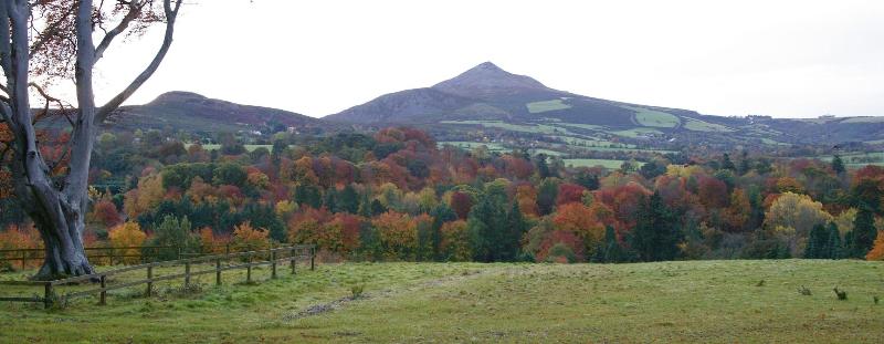 جناح مطلّ علي الجبل, Powerscourt Hotel, Autograph Collection